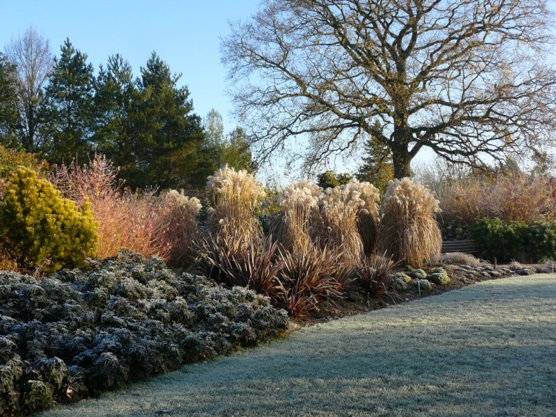 Sir Harold Hillier Gardens